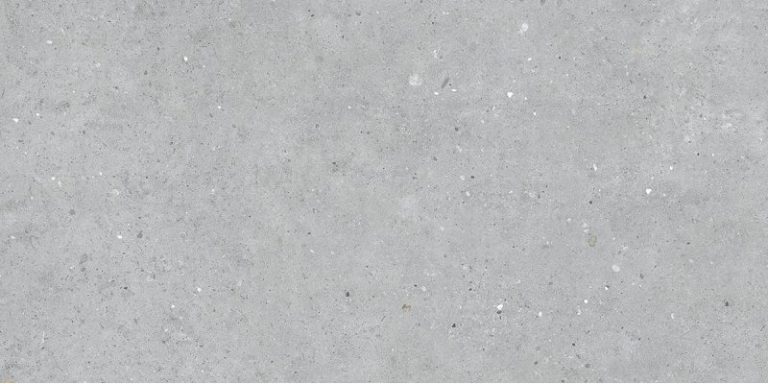 БИОФИЛИК ГРЕЙ 60х120