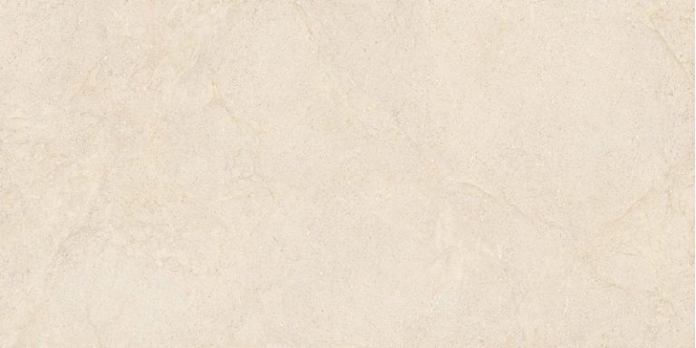 КОКОНИНГ КАШМИР 60x120 I k